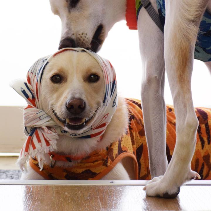 Aa836db3 5b57 4a2c a49d af8d7b7c1a9d