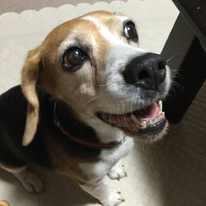 Aa8408c9 b914 4afa a14e bff51f6be92d