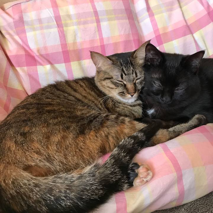 Aa845563 2e36 4c52 aba7 16df33cbc684