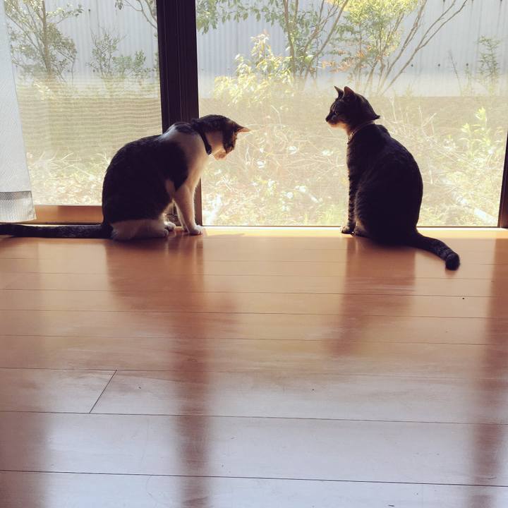 Aa85aef2 0fca 4ab2 9f66 6f19f0c52d46