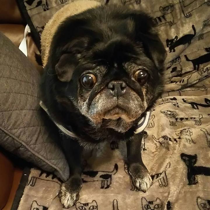 Aa860b05 478e 474d 882f 66c3129ab544