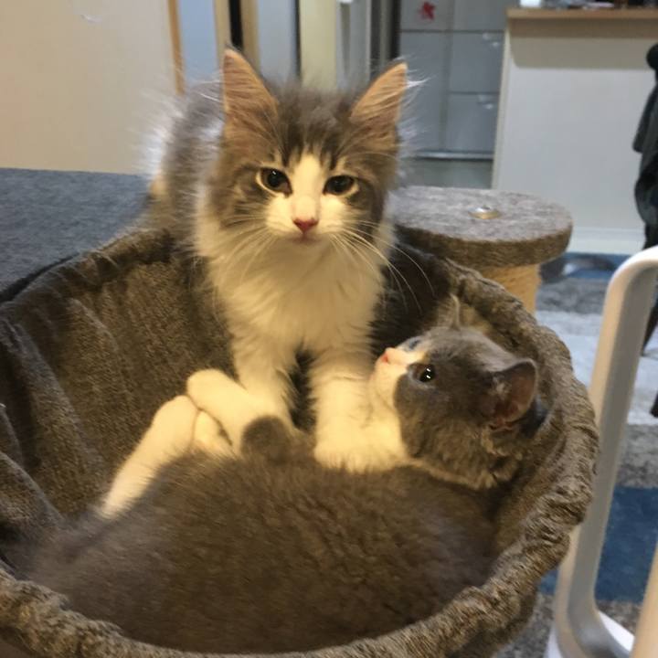 Aa86408a 3c8f 4230 9937 cf1fb7b76a86