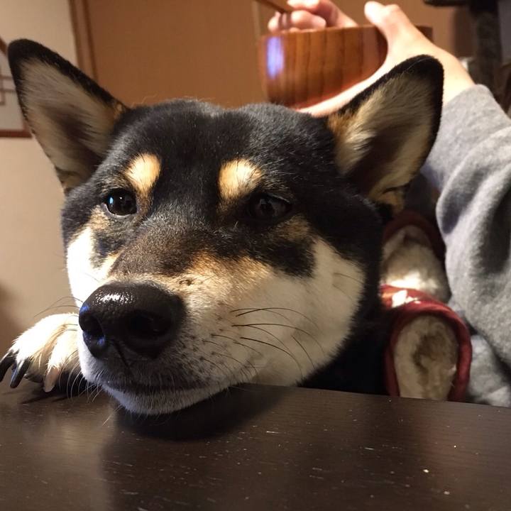 Aa867a8e 7015 48c5 87cf 43bca68b1f5d