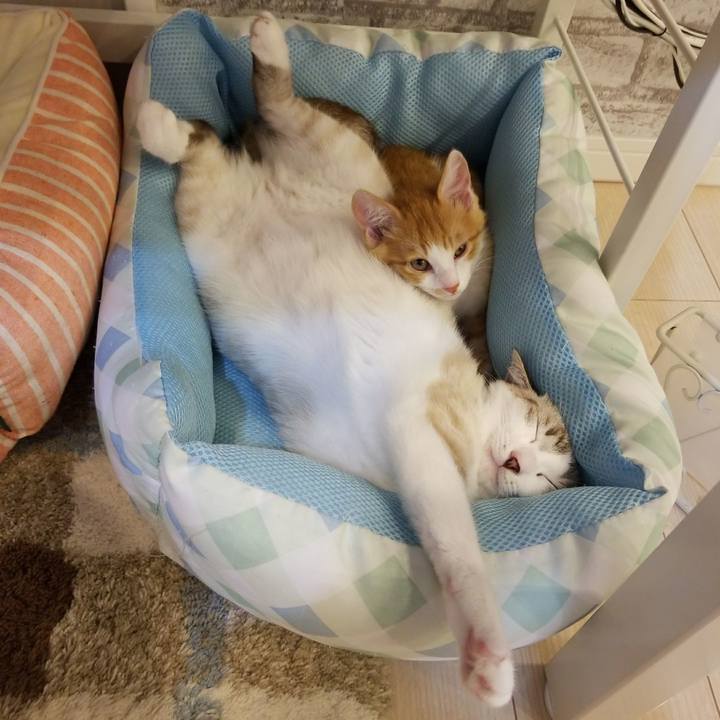 Aa872ea1 3f66 466a b211 de63e2453caa