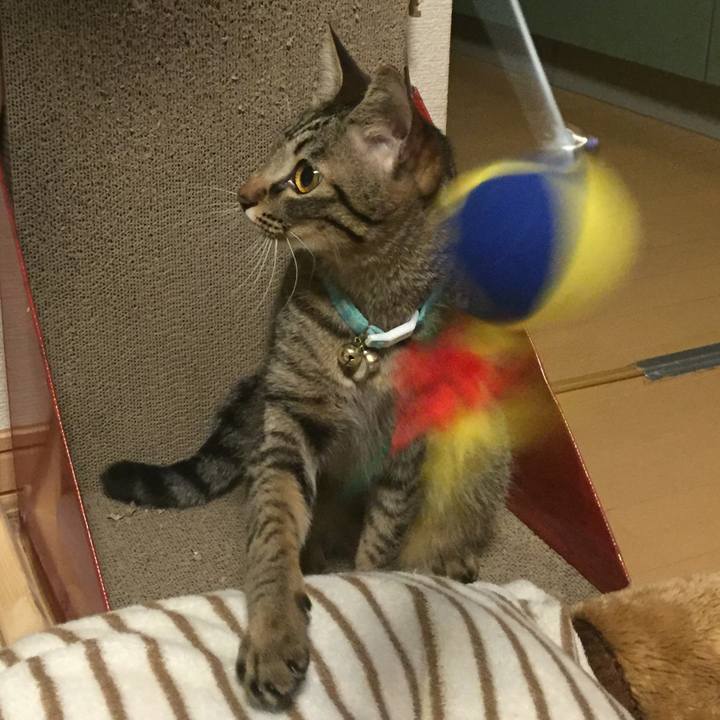 Aa879638 c449 4293 b82d 4a28b5a3858a