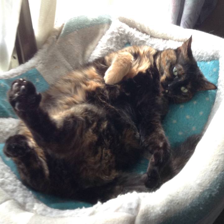 Aa87c5a3 1529 4c3f a1b8 589525568623