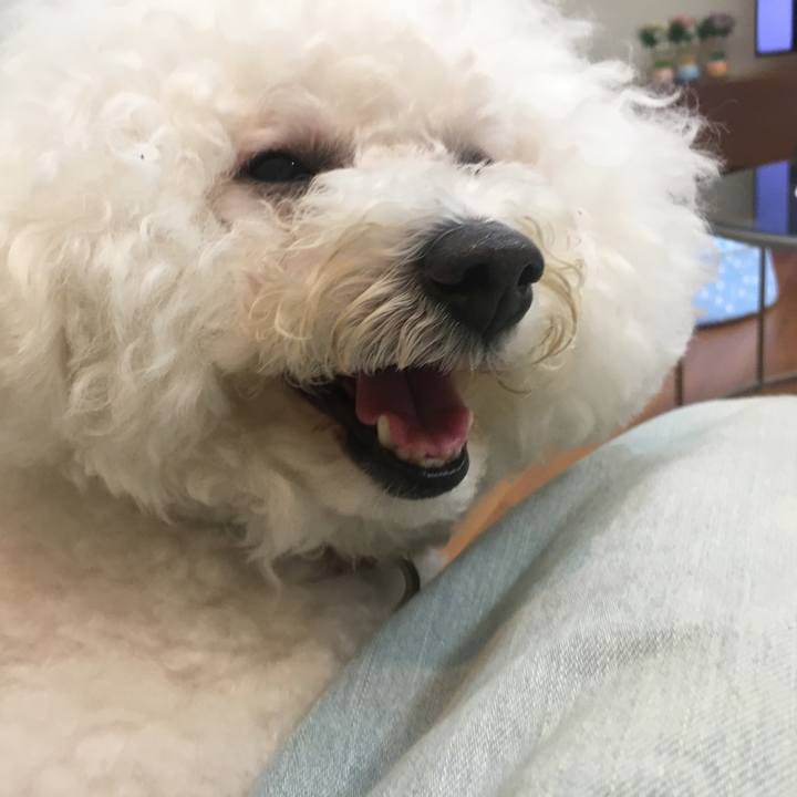 Aa88a9f4 9caf 4392 ab55 c13c37418c7f