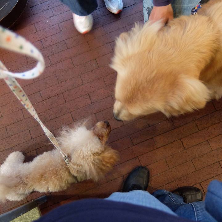 Aa88fd46 1e79 43f9 ba80 fe6df9a6dac7