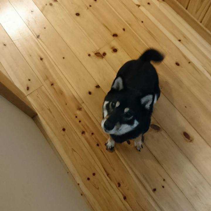 Aa89cdfb 1e49 4553 821a 2228e97ffe16