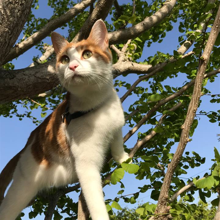 Aa89d98f dae9 4780 8ab8 17722d208e7e