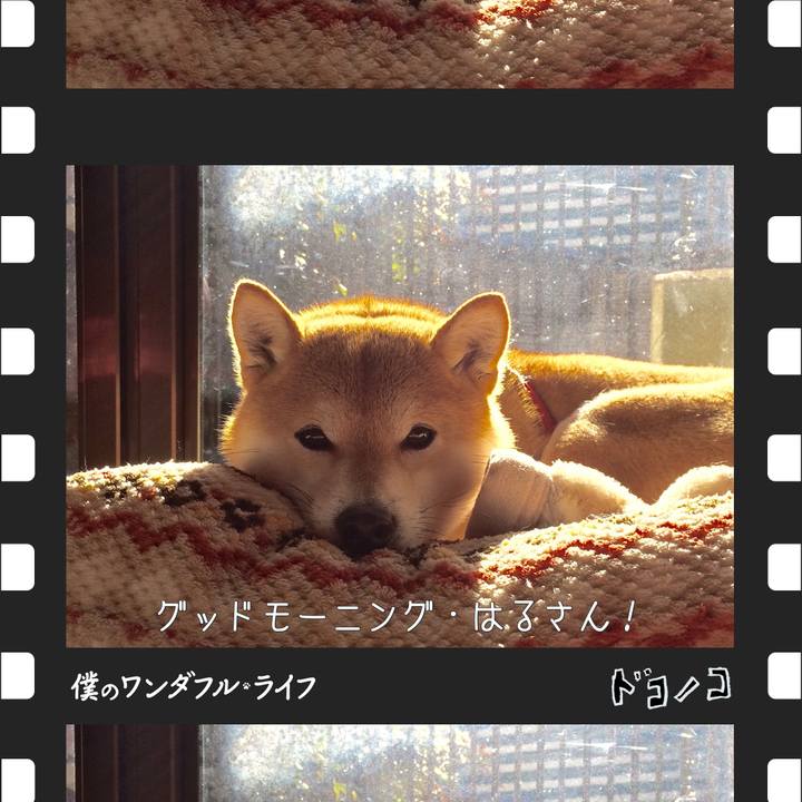 Aa8ac4e3 2bf1 4b35 b969 79f650da1034