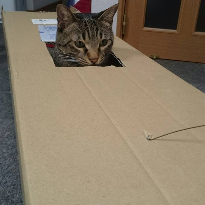 Aa8b00c3 0168 4629 92a5 faf01fc0a7de