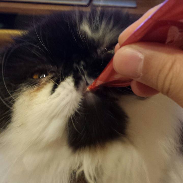 Aa8b7505 df19 40c9 932a 30af043df866