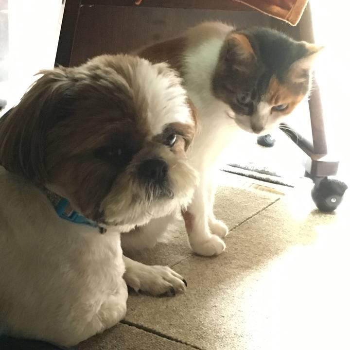 Aa8cde0d 0547 476d 9844 547fbd6fc1e1