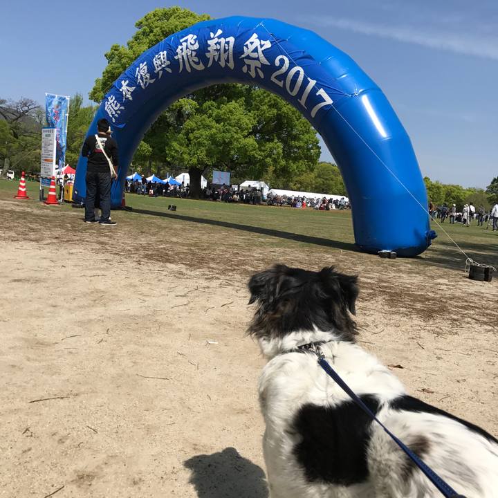 Aa8d4689 d4c9 4013 8465 54e44f769da5