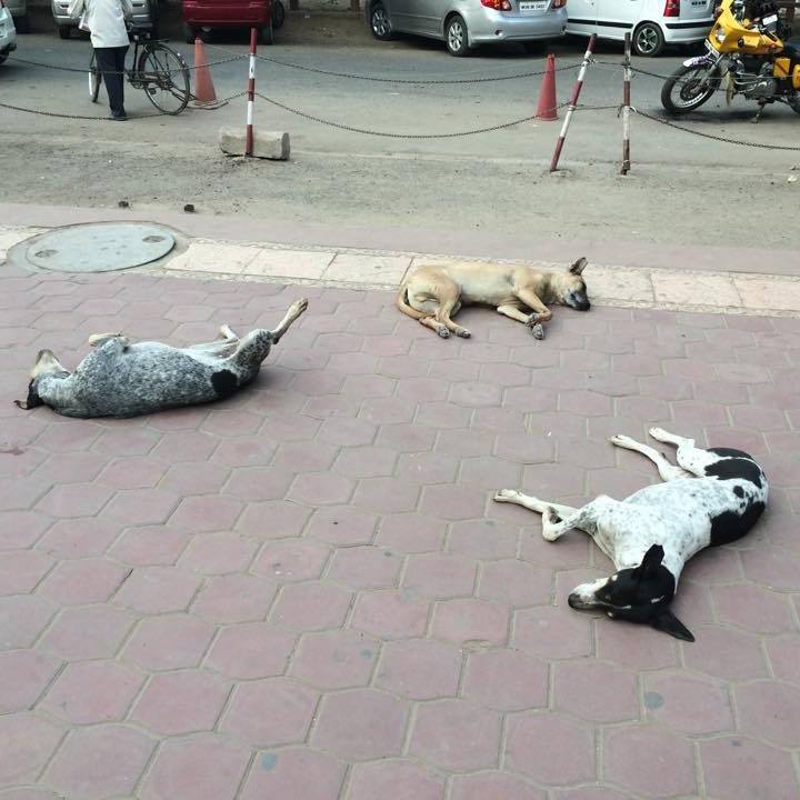 Aa8d59ff 8ce0 4a8c 8521 9822683607ed