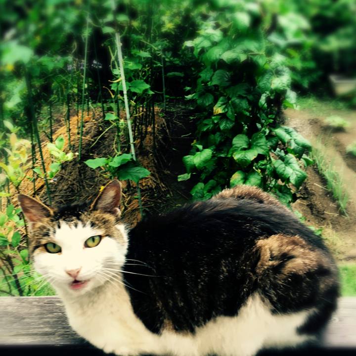 Aa8d9b9c 7311 4930 9297 af56d5276aac