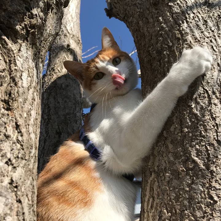 Aa8db34a 4377 4802 b0e7 1da4ad35608d