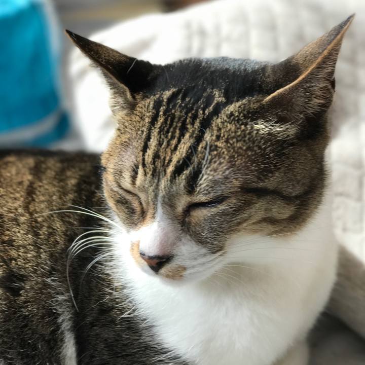 Aa8e0988 8ce8 44ed 9972 0f1af21f3799