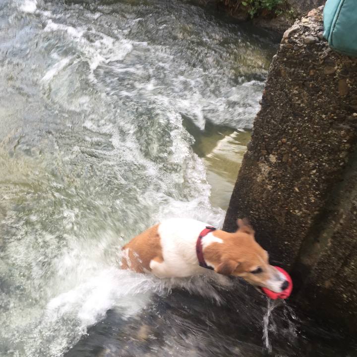 Aa8e0b38 341a 4eca 993e 9c65933a61d8