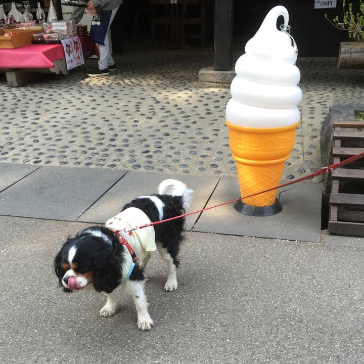 Aa8e1ad7 8363 4d0b 8e6b 24608e4d6bfb