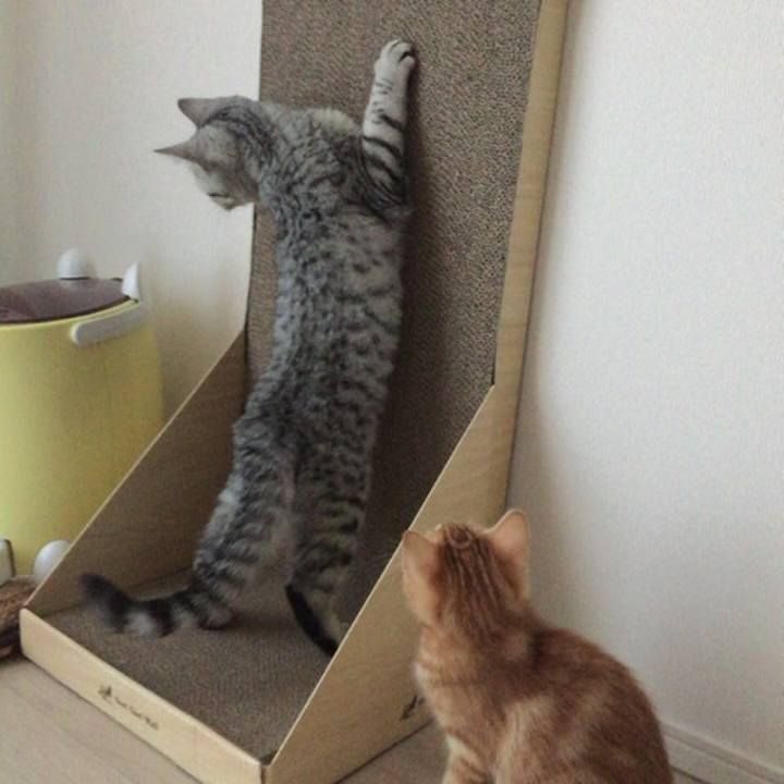 Aa8e590f 22d6 44c7 b217 94e381fa7fb6