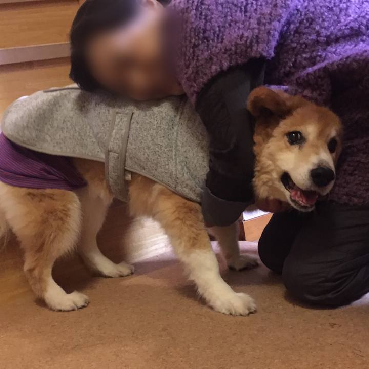 Aa8ef855 b53c 4f79 bc5d 232ed142c358