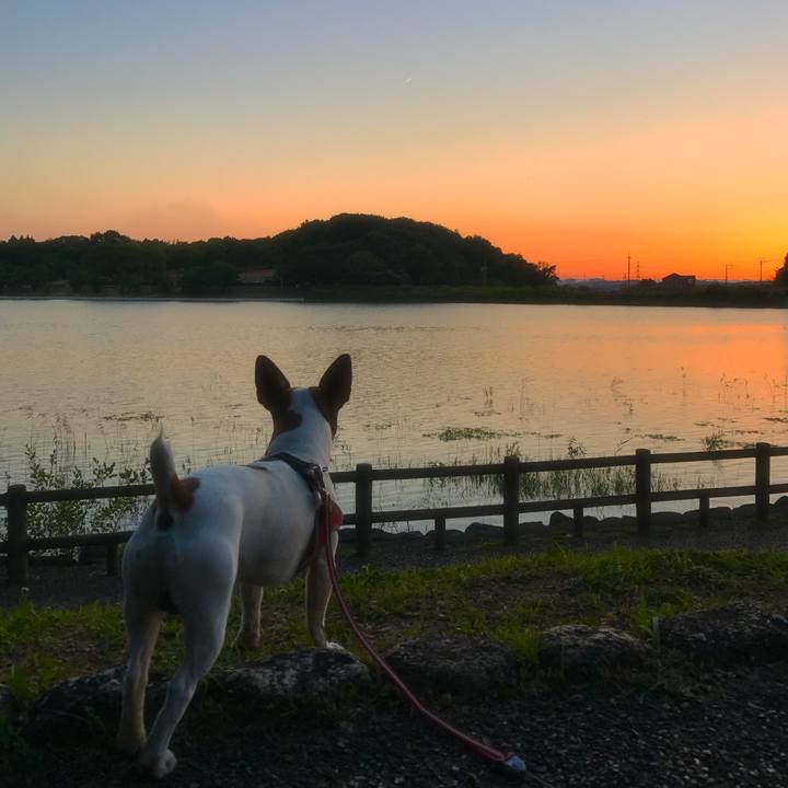 Aa902922 ec92 44f6 a5f7 defd54e9848f