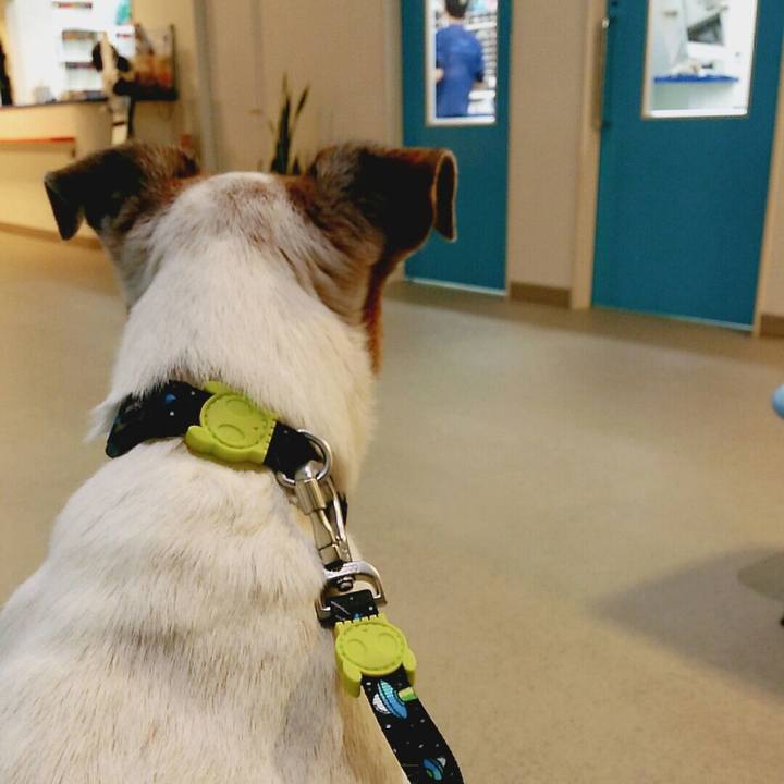 Aa9052d1 ffc0 4f21 a0b7 ac5e2b7fb154