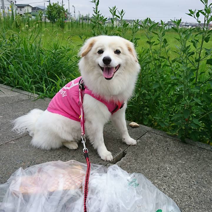 Aa905c82 0856 46b5 9ae8 b02d14f410dc