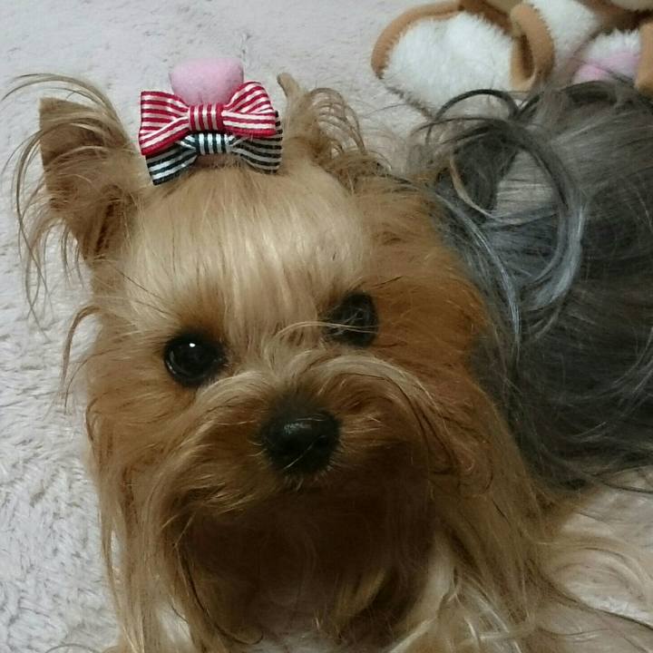 Aa90ae38 e60e 4a48 add5 d7ddfcb71759