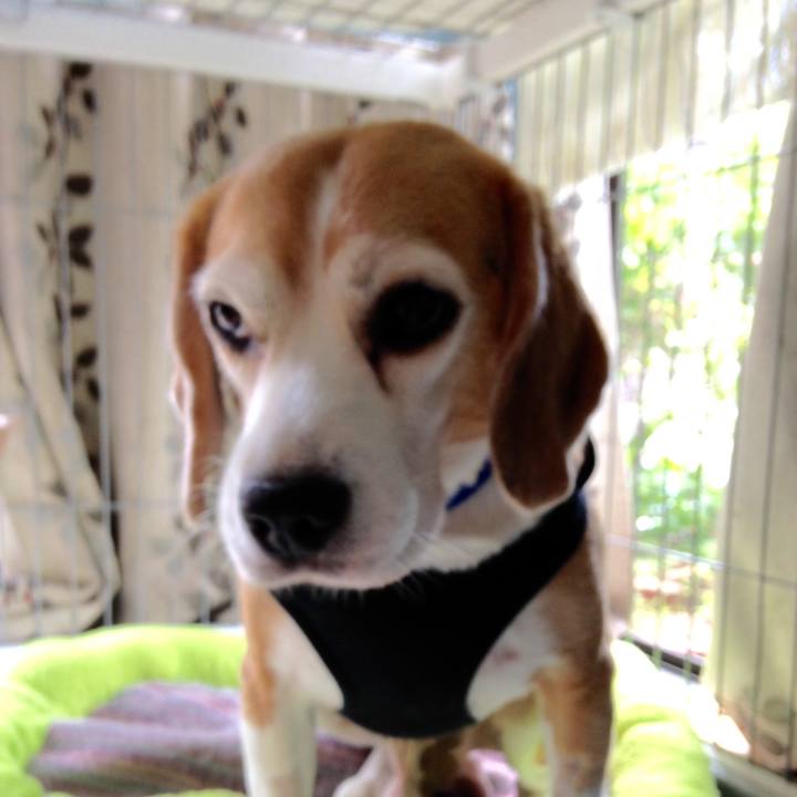 Aa917e91 04f6 4257 91db 36e66563aa6e