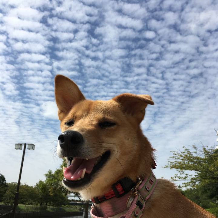 Aa91ad36 de76 4eb8 baac 48e3478c306b