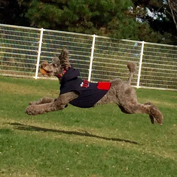 Aa91d1f9 1194 49bc 8864 d392f7d22166