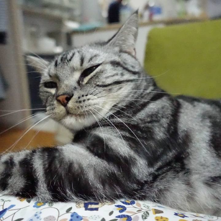 Aa9257b2 61a2 40bc 8434 591230b12fb4