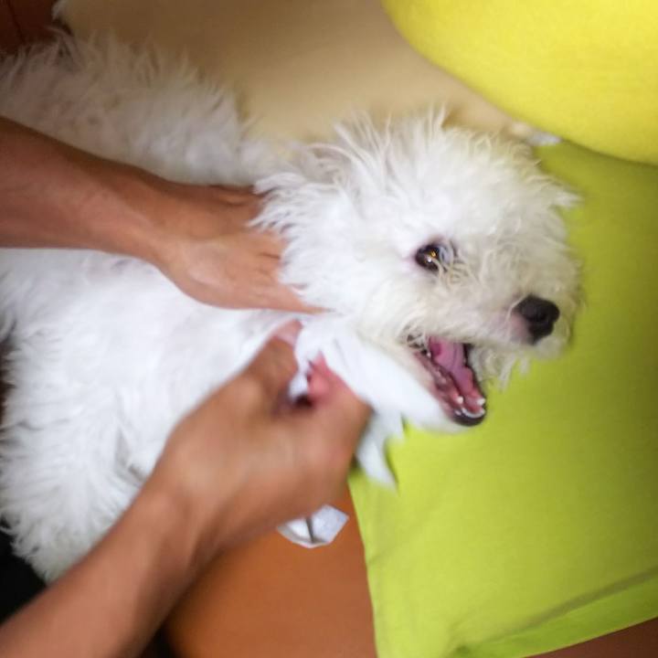 Aa926c8e fbf3 4c89 81e6 26e119126cc5