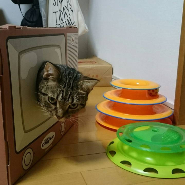 Aa92c3c3 d928 4b8b b6fd 316a84c7e4a0