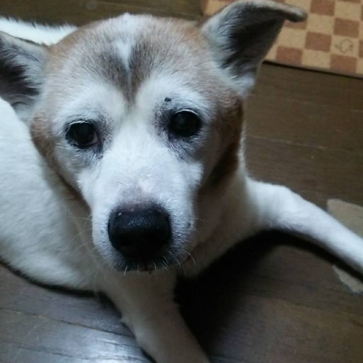 Aa939d4a f3af 4015 9649 6633e75b47f8