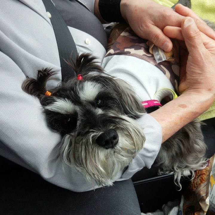 Aa939fec 9770 480c 9004 82796bde7d9b