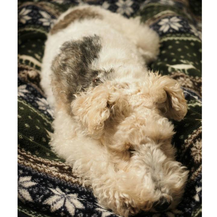 Aa93e4f3 0980 4c92 b5a3 b72e2ace8555