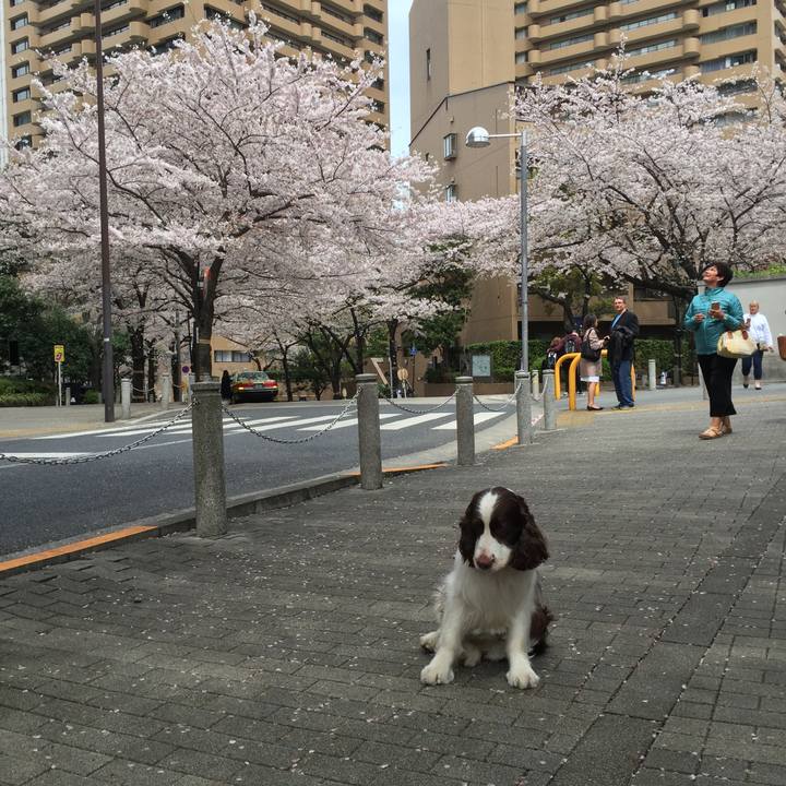 Aa946ff9 82b0 4d65 a800 9a14cd691cfd