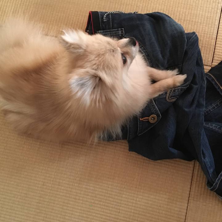 Aa94df06 2a6d 4495 bf51 4726d47aebe0