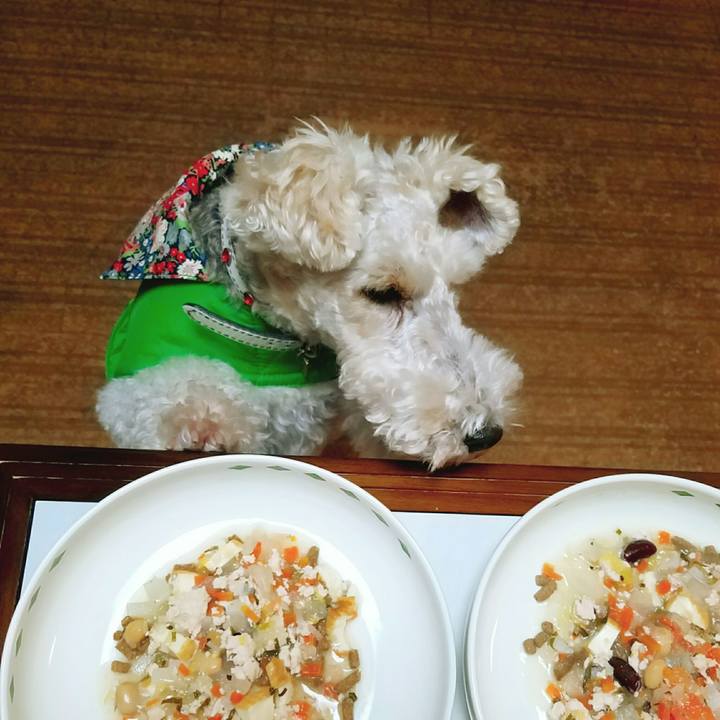 Aa9589ff 0ad9 4b3a a18a a713c129a252