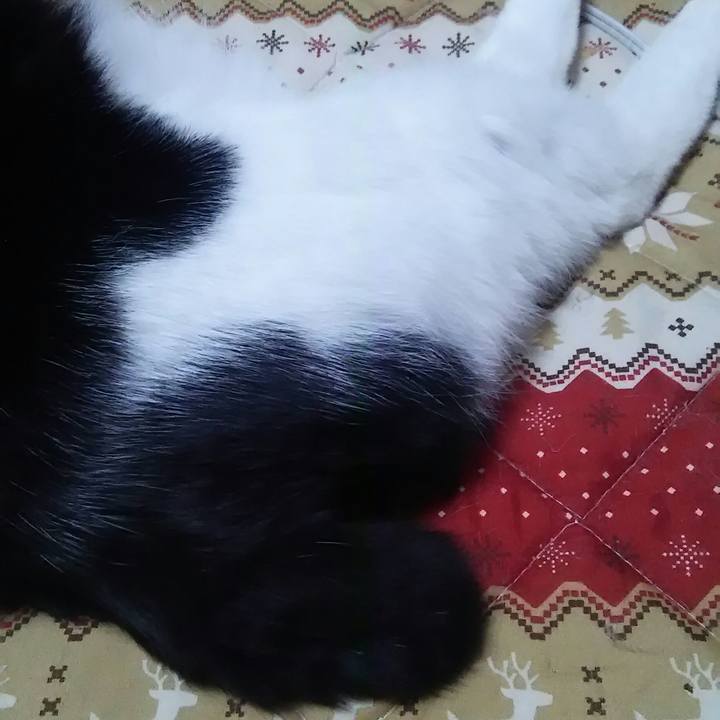 Aa95bc98 36a1 428b 9a12 5b0ef3a6f932