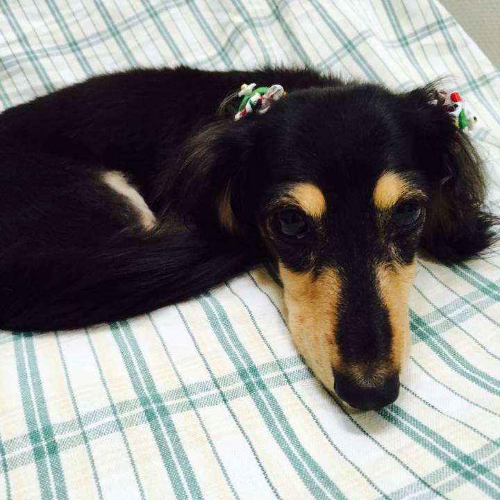 Aa96b414 0fea 4381 a6a0 43d9525c316b