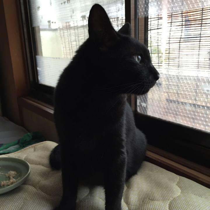 Aa96ff28 18ac 4e0b aef6 d7bb77d4255f