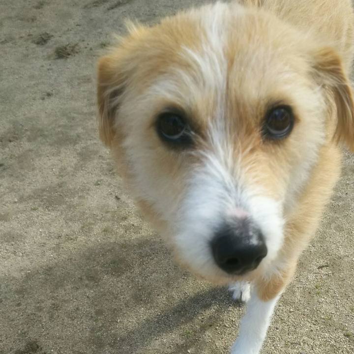 Aa9771ea a16c 42be 9642 6cdbe9f546a1