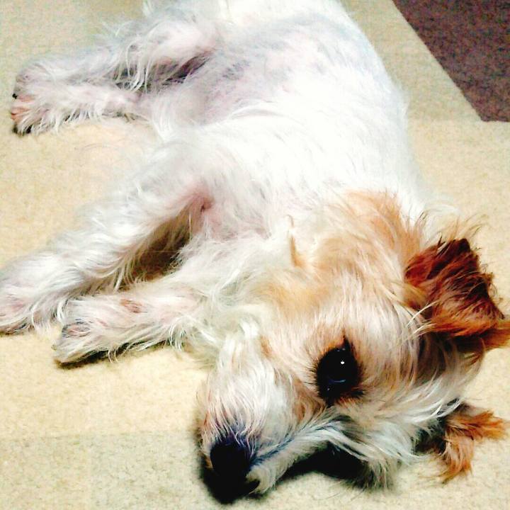 Aa986961 cef0 468c 9538 72a89f847702