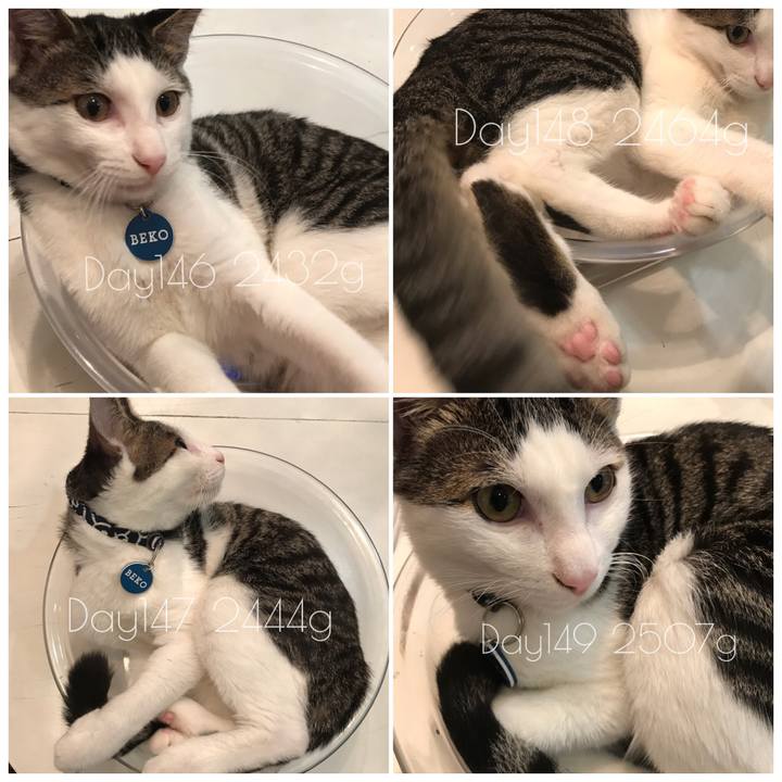 Aa98e8bb aa67 4bf1 bb3b 7717a88782bb