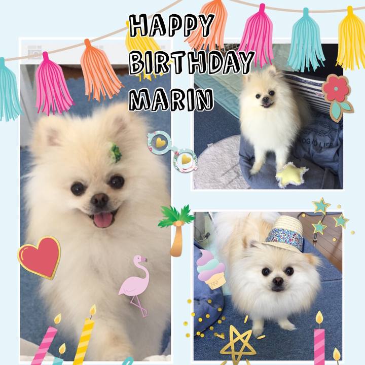 Aa993ceb 2a07 4c50 baf5 b726ef8ebbf6